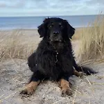 Geht Immer Апартаменты *