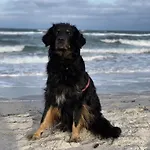 Geht Immer Апартаменты *