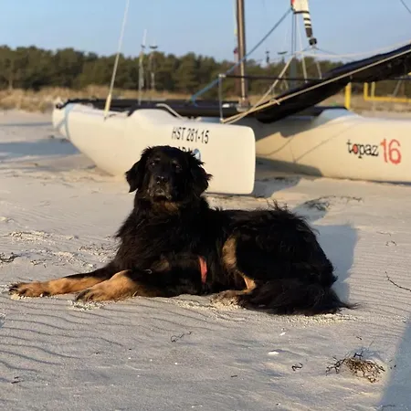 Apartament Geht Immer Prerow