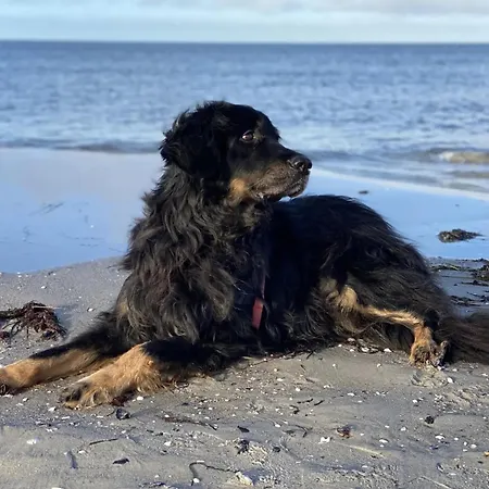 Geht Immer Apartament