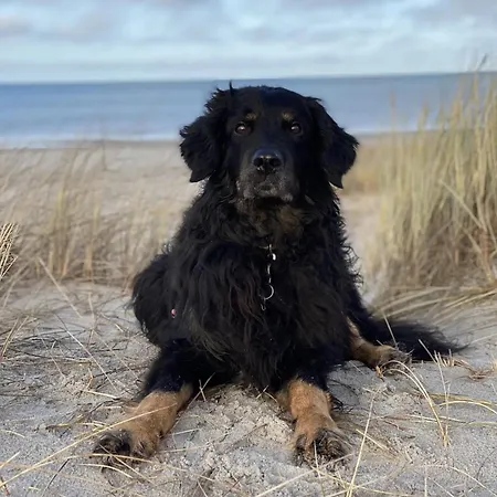 Geht Immer Apartament *